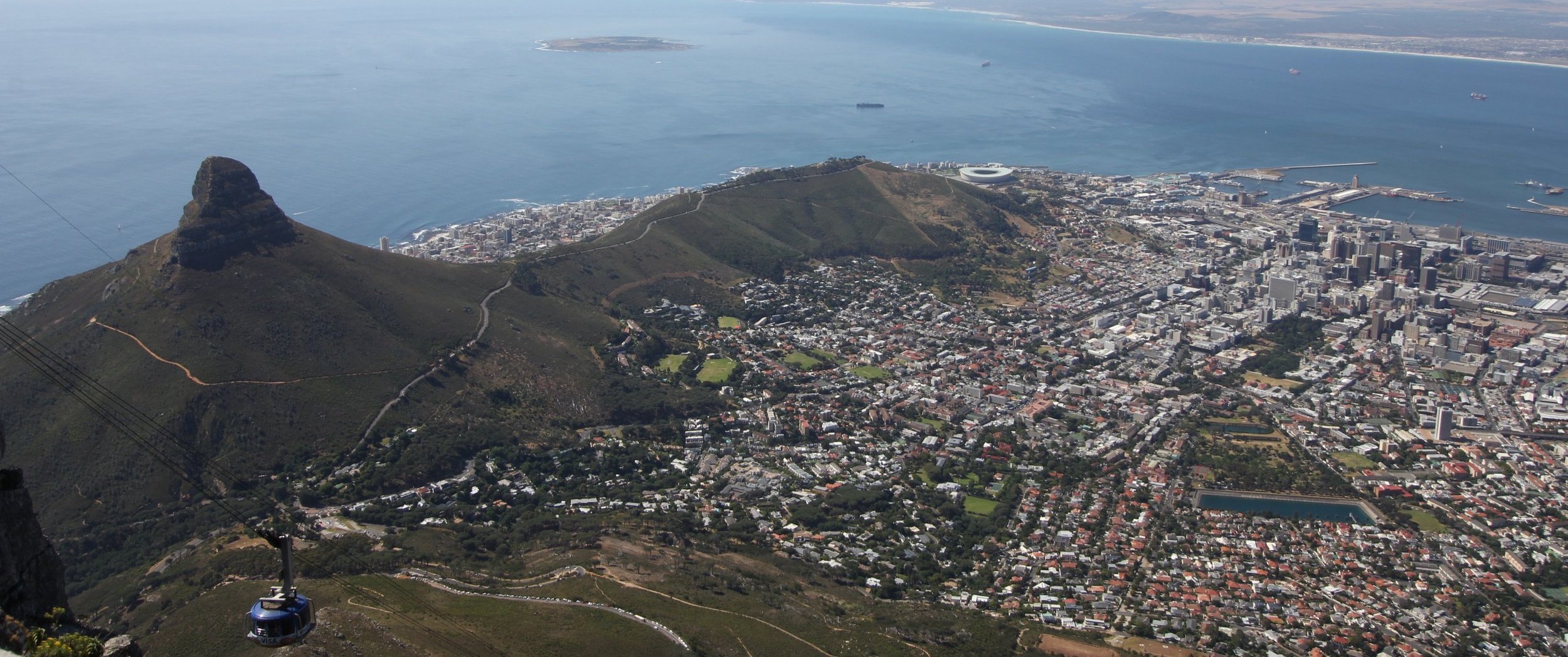 Fynbos and Cape Town city bowl side by side, viewed from Table Mountain