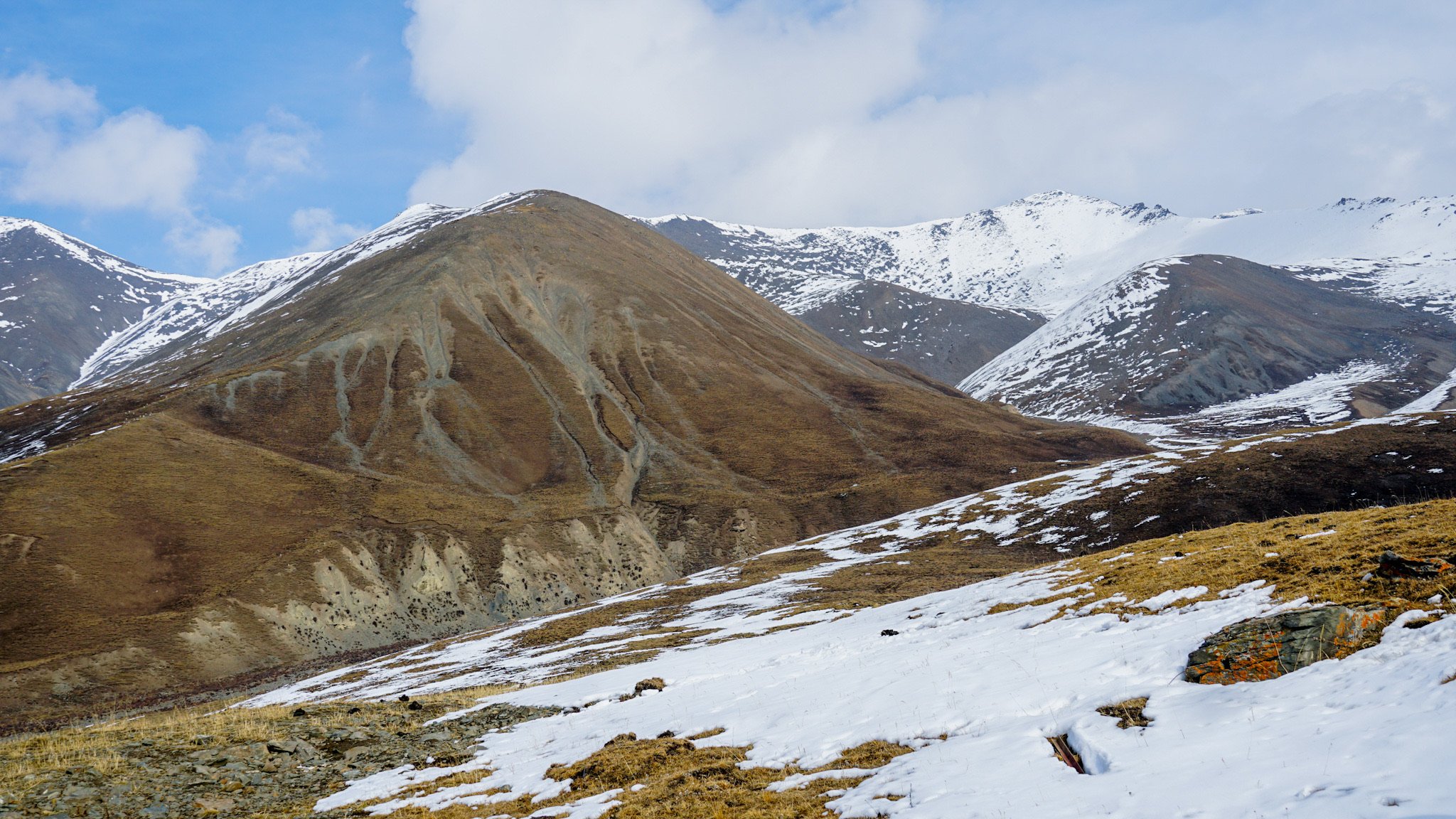 Alpine grassland, Haibei, Northern Qinghai-Tibetan Plateau