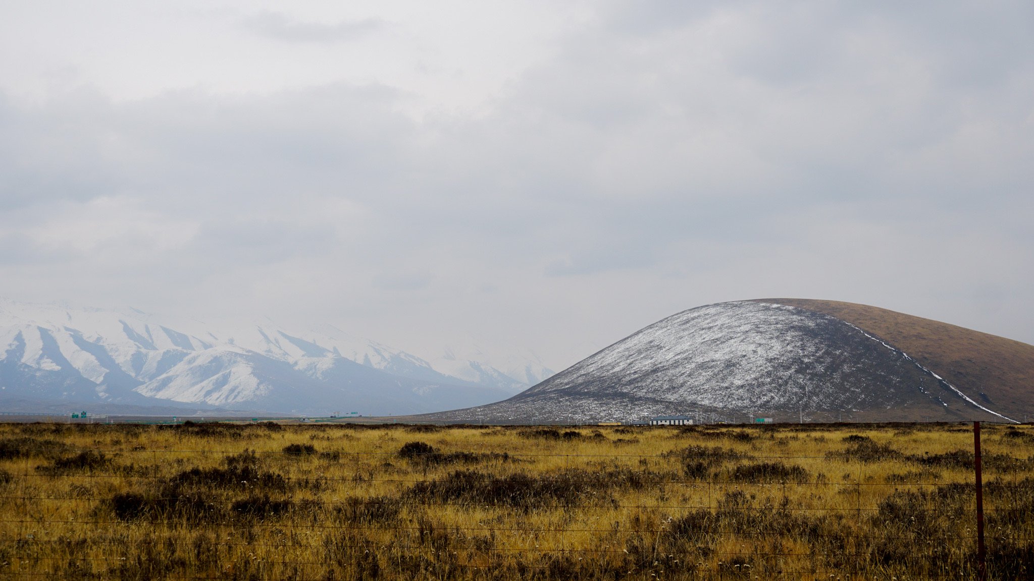 Alpine shrub vs grassland