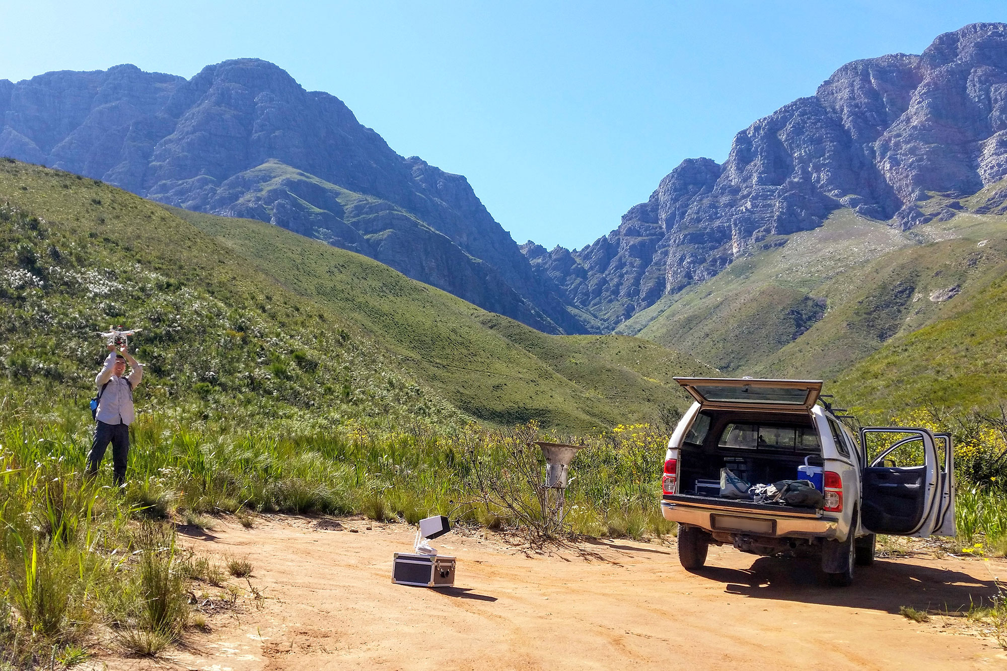 Fynbos fieldwork in Cape Floristic Region