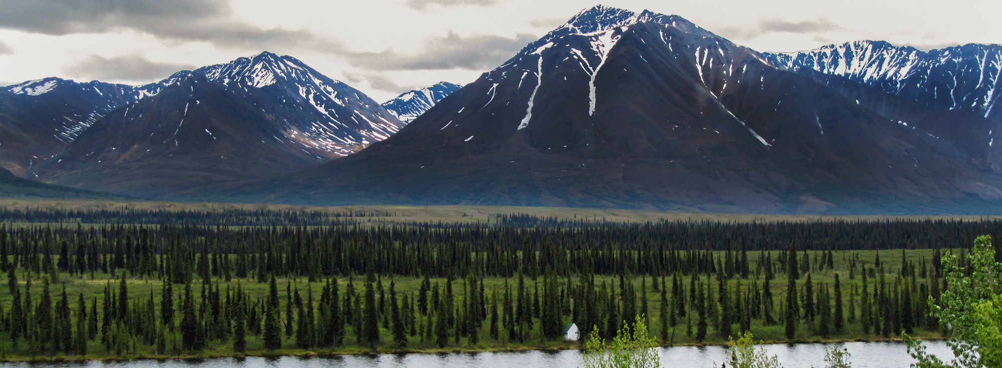 Denali National Park, Alaska — one of the study sites spanning tundra to tropical forests